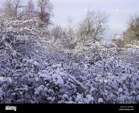 Winter in England Stock Photo - Alamy