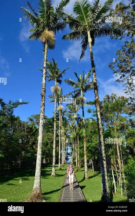 Indonesia Bali Bedugul The Bali Botanical Garden Or Kebun Raya Eka