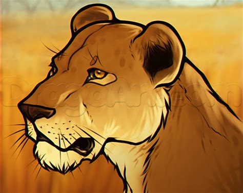 How To Draw A Lion Face And Body Tutorials For Beginners