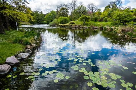 Les Tendances Mergentes De La Conception De Jardins