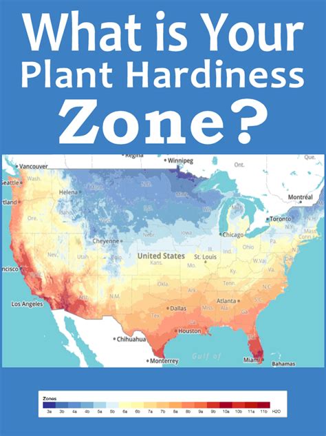 Plant Zone Chart By Zip Code