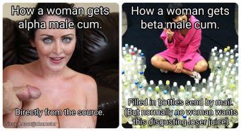 Beta Loser Captions 47 All Selfmade Porn Pictures XXX Photos Sex Images 3885226 PICTOA