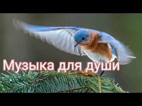 Народная медицина и гигиена. Новости 😱 Жаңалықтар - YouTube