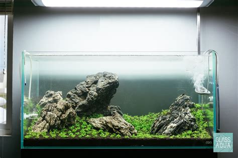 Layout Aquascape Design Ideas Aquascape Ideas