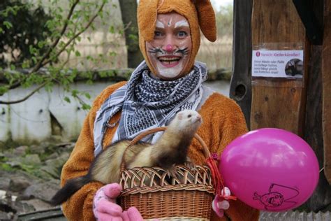 Tierische Ostern Im Wildpark MV Wildpark MV Natur U Umweltpark