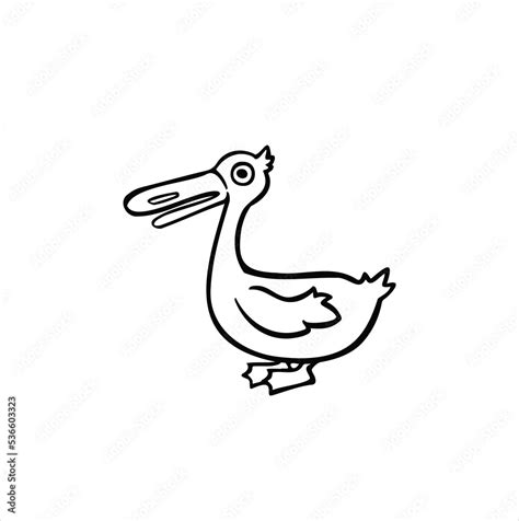 cartoon line sketch mallard duck vector Stock Vector | Adobe Stock