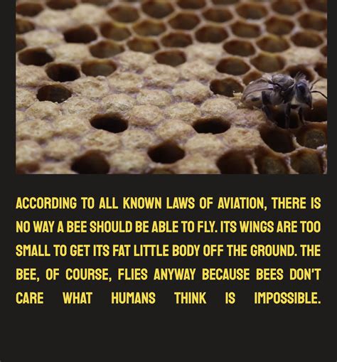 Bee Worried | Devpost