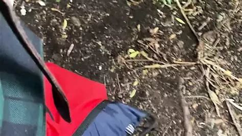 Free Black Cruising Gay Porn Videos Xhamster