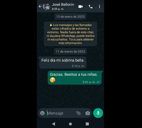 Cómo dejar de recibir notificaciones de WhatsApp Stonkstutors