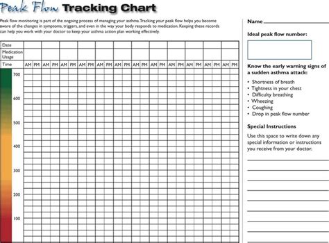 Peak Flow Chart Printable - Flowchart Examples