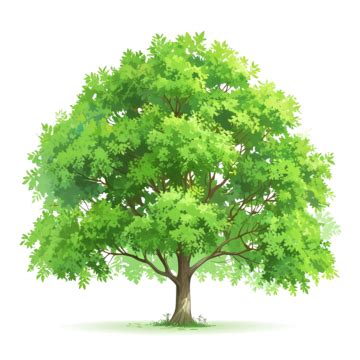 A Big Wide Dark Green Tree Logo, New Tree, Tree, Green PNG Transparent ...