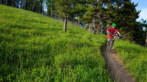 xc mountain biking bike  ton