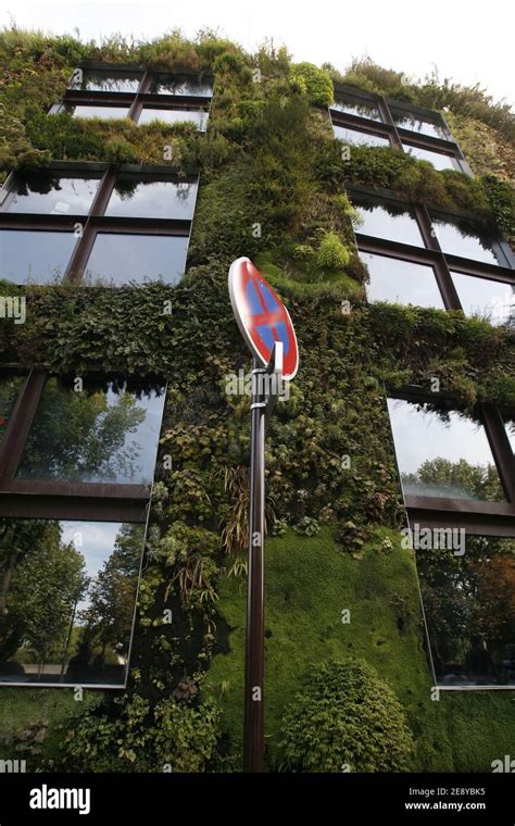 Mur vegetal de Patrick Blanc au Musee du Quai Branly ˆ Paris France le