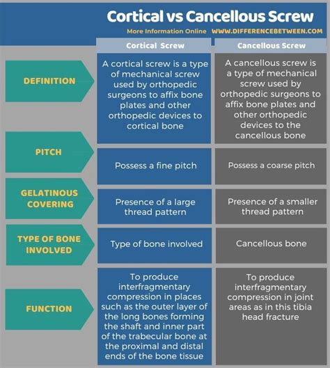 Difference Between Cortical and Cancellous Screw Cancellous Bone, Amino ...