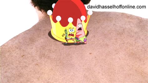 Spongebob Squarepants The Official David Hasselhoff Website