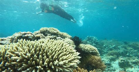 Private Snorkeling Gili Gede Gili Asahan Gili Goleng Tour GetYourGuide