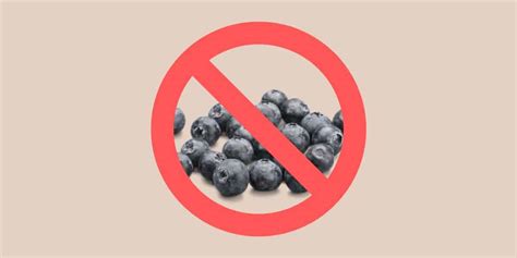 What You Need to Know About Blueberry Allergy - Single Ingredient Groceries