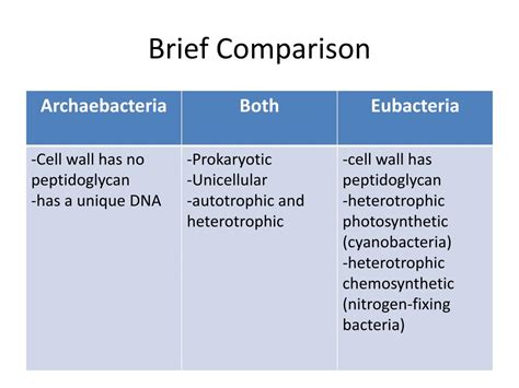 What Are The Differences Between Eubacteria And