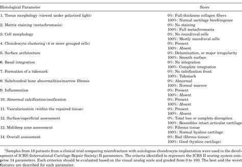 Table 1 From A New Histology Scoring System For The Assessment Of The