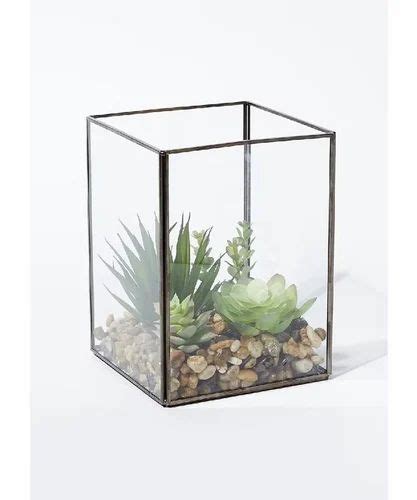 Beautiful Terrarium Planter Glass Handmade At Rs 350 Piece Barwalan Tiraha Moradabad Id