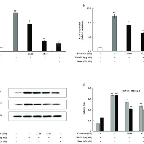 Inflammation Associated Protein And Gene Expression Of Inos And Cox 2