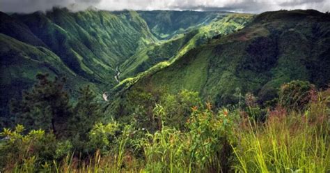 Exploring Mawsynram: India's Popular Wettest Wonder » Xplro November 15 ...