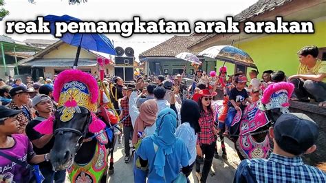 Reak Pemangkatan Kuda Renggong Putra Medal Laksana Pml Di