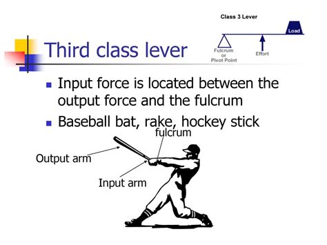 Third Class Lever Baseball Bat