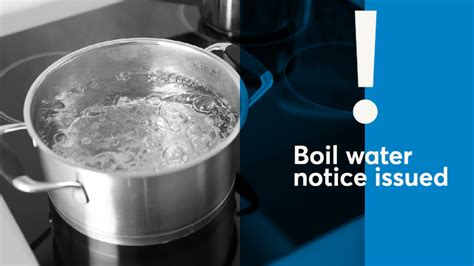 Boil Water Notice Issued Our Nelson