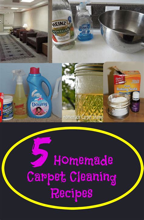 Best Homemade Carpet Cleaner Solution For Pets At Peggy Jackson Blog