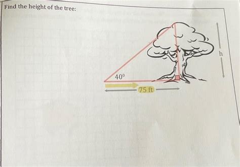 Solved Find the height of the tree: | Chegg.com