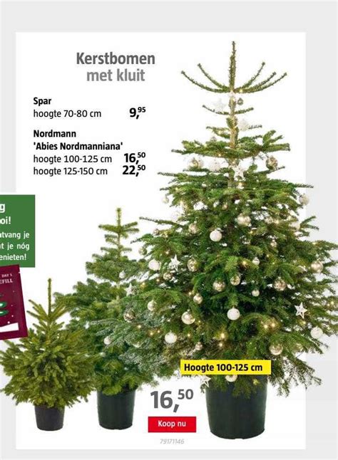 Kerstbomen Met Kluit Aanbieding Bij BAUHAUS 1Folders Nl