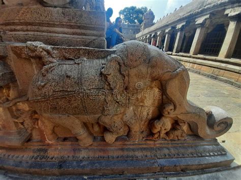 Elephant Stone Carving In Brihadeeswara Temple Thanjavur Tamilnadu