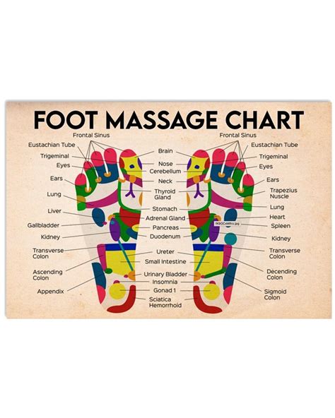 Massage Therapist Chart Horizontal Poster 17x24inches Etsy