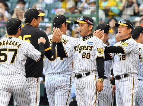 阪神に日程の試練 移動日無しの東北→北海道遠征含む地獄の9連戦 岡田監督「2回の移動やからなあ」嘆く 阪神タイガース デイリースポーツ Online