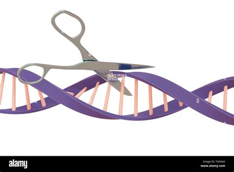 DNA editing, conceptual illustration Stock Photo - Alamy