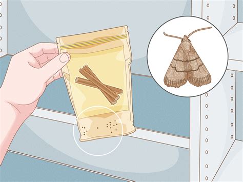 3 Ways to Get Rid of Pantry Moths - wikiHow