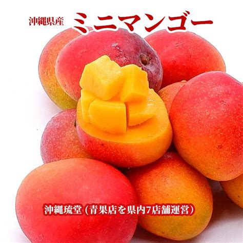 【送料無料・即発送可】沖縄県産ミニマンゴー1kg Okmimaay2沖縄琉堂 通販 Yahooショッピング