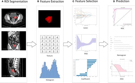 Frontiers A Contrast Enhanced Ct Based Radiomic Nomogram For The