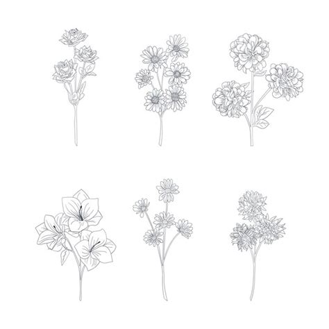 premium vector hand drawn flower stalk collection
