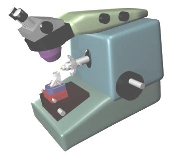 Histological Techniques 4 Sectioning Ultramicrotome Atlas Of Plant