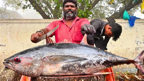 Kasimedu Minnal Raja Big Yellow Fin Tuna Fish Cutting In Kasimedu