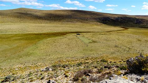 Aportan Nuevas Evidencias Sobre El Origen De Los Ecosistemas De