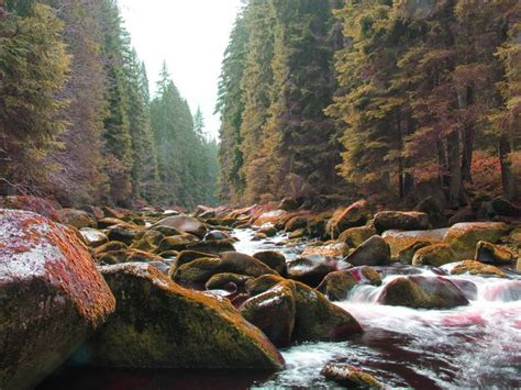 K K Great Smoky Mountains National Park Usa Parks Forests