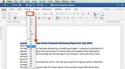 Formatting Text In Ms Word Basic Formats Riset