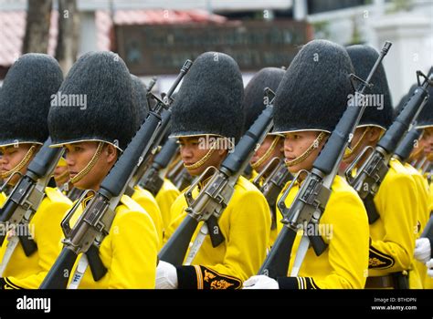 Armed Thai soldiers in parade uniforms during an official ceremony in ...