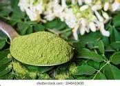 NLG Natural Moringa Leaves Powder Style Fresh At Rs 250 Kilogram