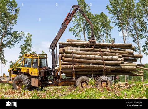 Timber Logging Hi Res Stock Photography And Images Alamy