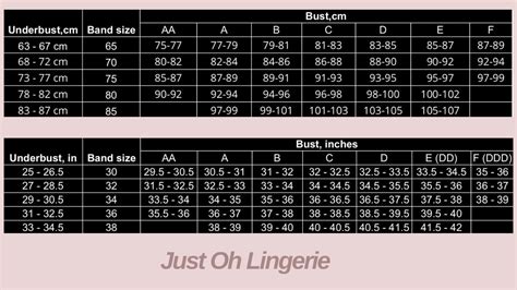 Corset Top See Through Lingerie Set Bustier Sheer Bra Tr Inspire Uplift