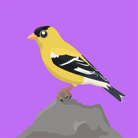 80 Goldfinch Garden Stock Illustrations Royalty Free Vector Graphics